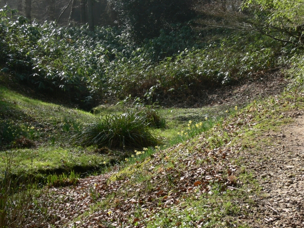 Bois des Moutiers (52) mars 2012